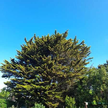 شقة Le Stud' A Saint Pierre D'Oleron ! الغرفة الصورة
