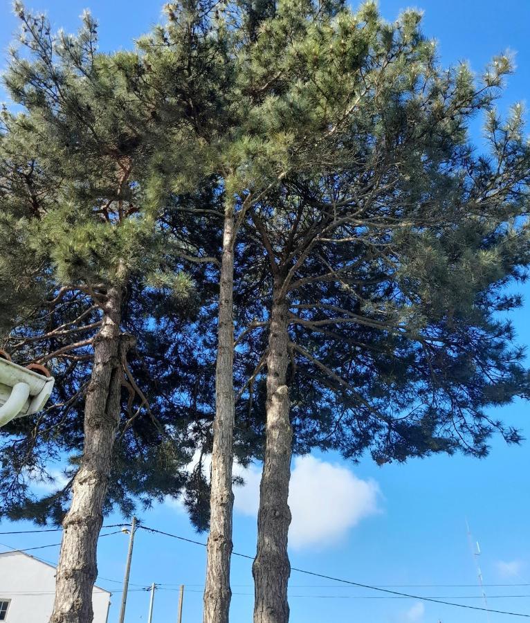 شقة Le Stud' A Saint Pierre D'Oleron ! المظهر الخارجي الصورة