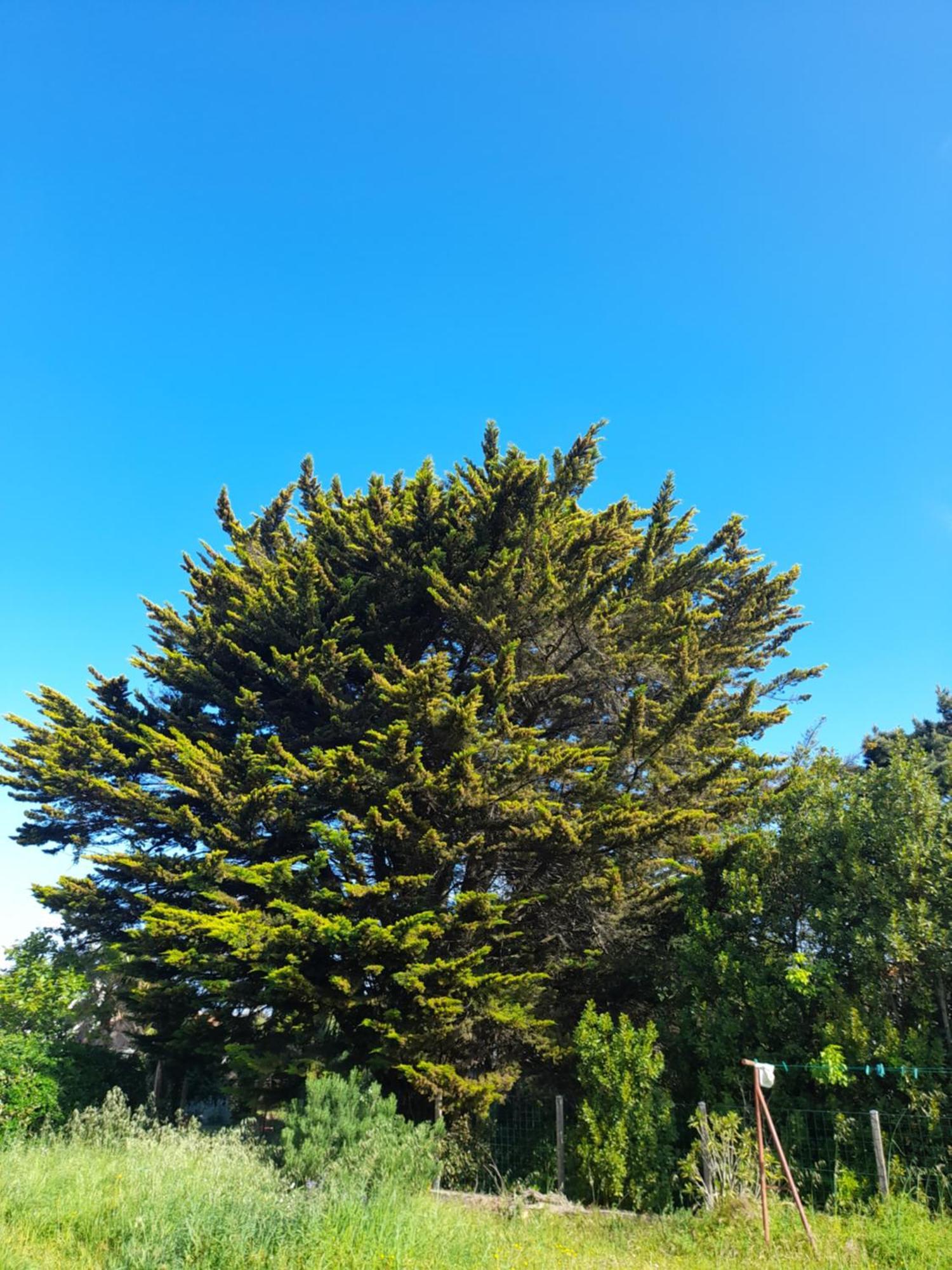 شقة Le Stud' A Saint Pierre D'Oleron ! الغرفة الصورة